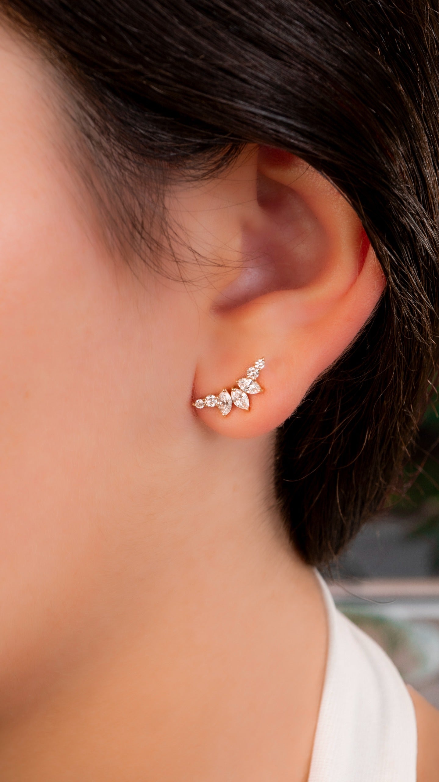 Aretes Open Wings
