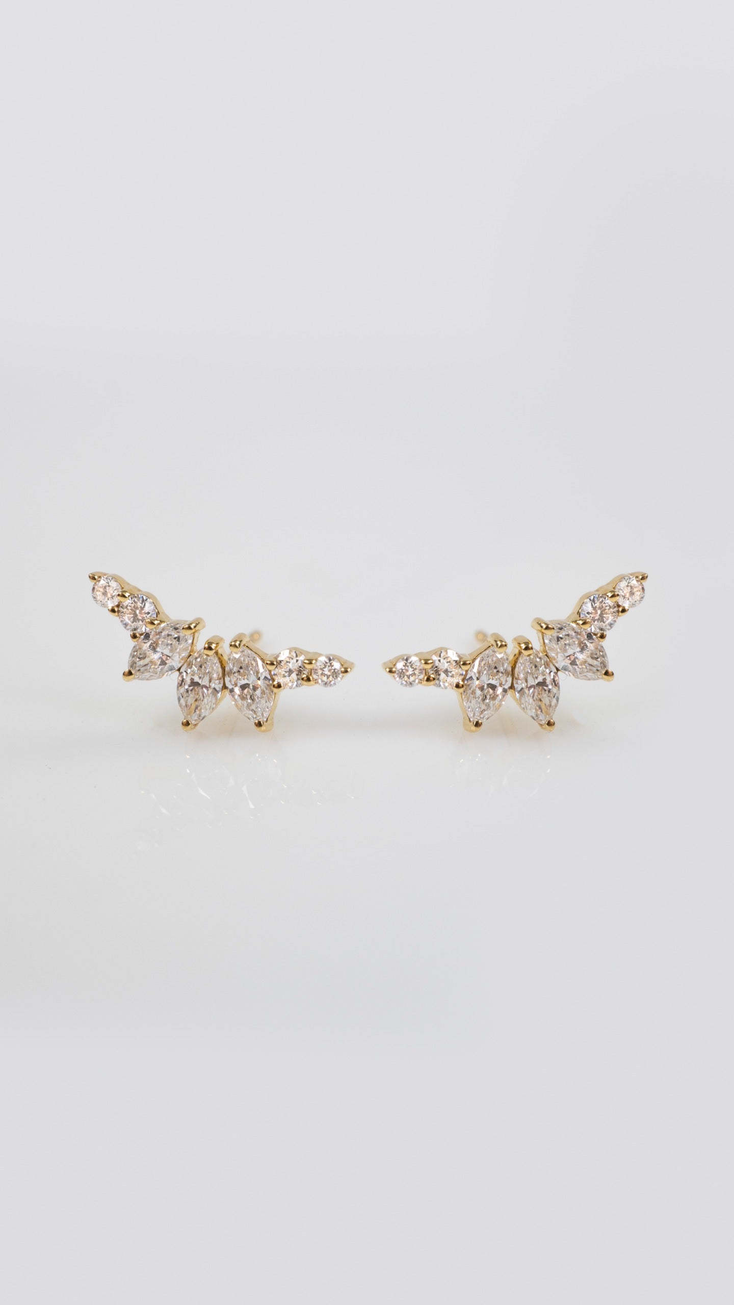 Aretes Open Wings